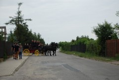 DSC_0781.jpg