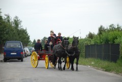 DSC_0782.jpg