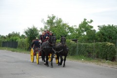 DSC_0784.jpg