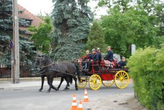 DSC_0786.jpg