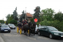 DSC_0787.jpg