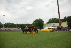 DSC_0842.jpg