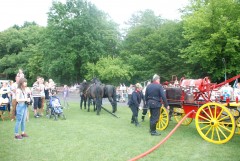 DSC_0886.jpg