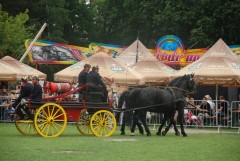 DSC_1000_17.jpg
