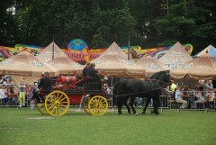 DSC_1000_18.jpg