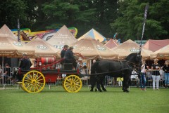 DSC_1000_19.jpg