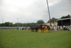 DSC_1000_3.jpg