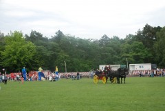 DSC_1000_35.jpg