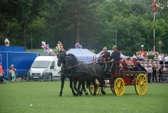 DSC_1000_7.jpg