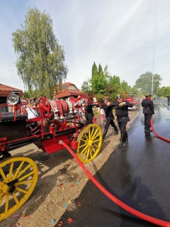 IMG_20230909_145640_720x960.jpg