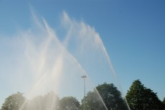 DSC_0709.jpg