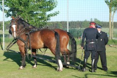 DSC_0748.jpg