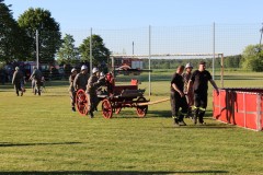 IMG_8884.jpg