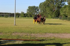 IMG_8887.jpg