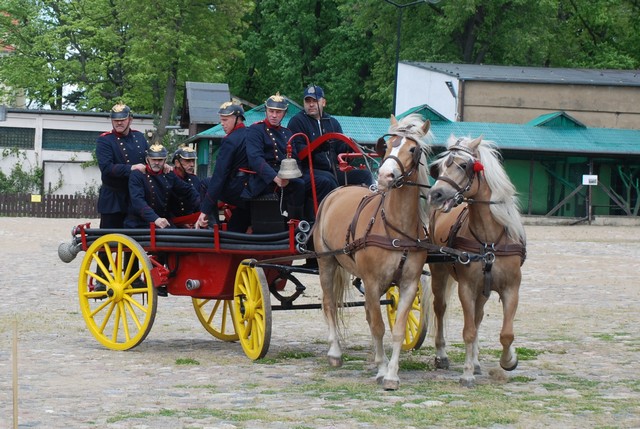 640 SZRENIAWA DSC 0391